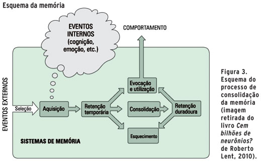 A importância da memória